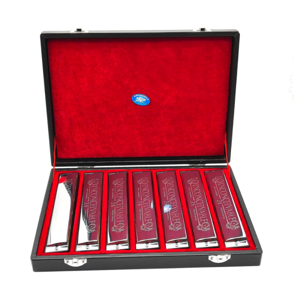 adiya Swan Harmonica 24 Hole Polyphonic C Key